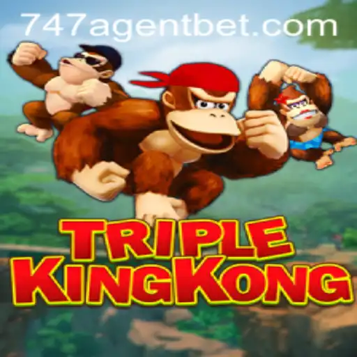 Unleashing the Adventure: TripleKingKong and the Mysterious 747 Agent